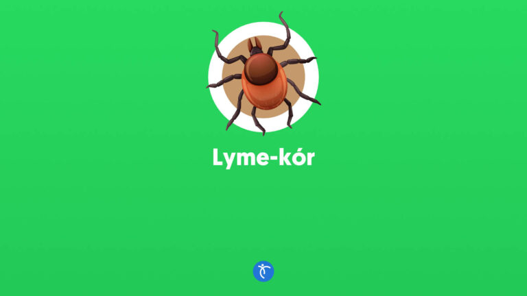 Lyme-kór